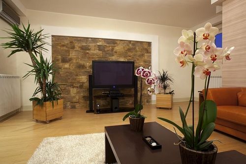 Яркие интерьеры гостиной: тона и акценты стен, цвета для дизайна, фото красивые и цвета не пропустить