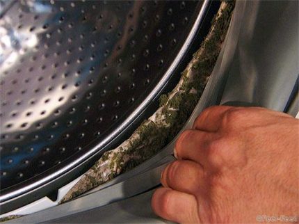 Как избавиться от плесени в стиральной машине в домашних условиях