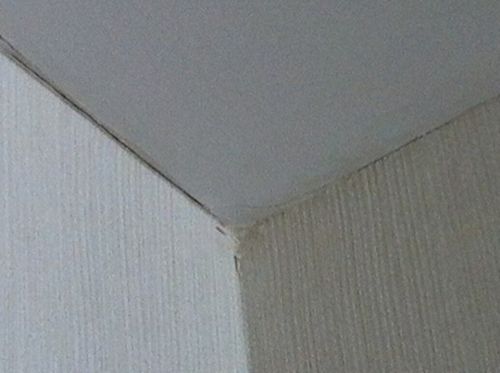 Как с помощью плинтуса скрыть стык стены и потолка: фото и видео