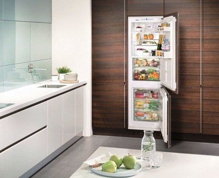 Как выбрать холодильник: какой холодильник лучше и почему + рейтинг лучших моделей на сегодняшнем рынке