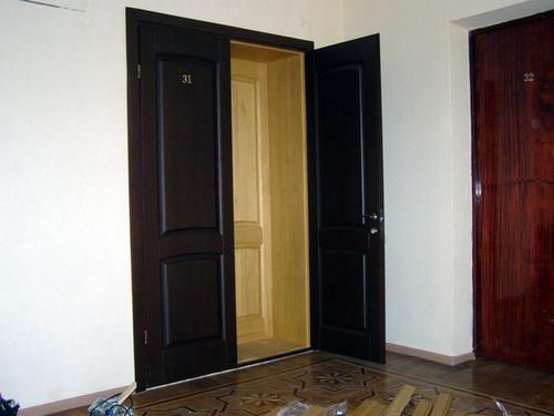 Плюсы и минусы второй входной двери в квартире