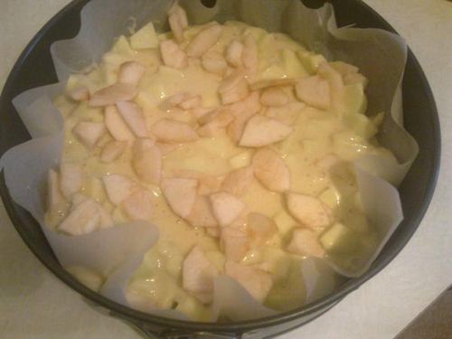 Рецепты шарлотки с яблоками: пирог в духовке, как сделать, фото пошагово, вкусная классическая шарлотка, приготовить пирог яблочный, видео