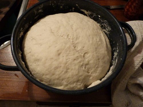 Венские булочки: тесто, рецепт с фото, венская выпечка, тесто для пирожков